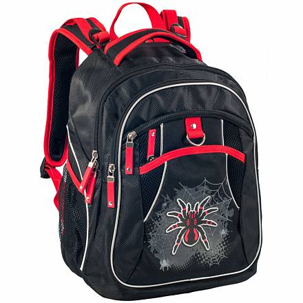 Рюкзак школьный - Spider 